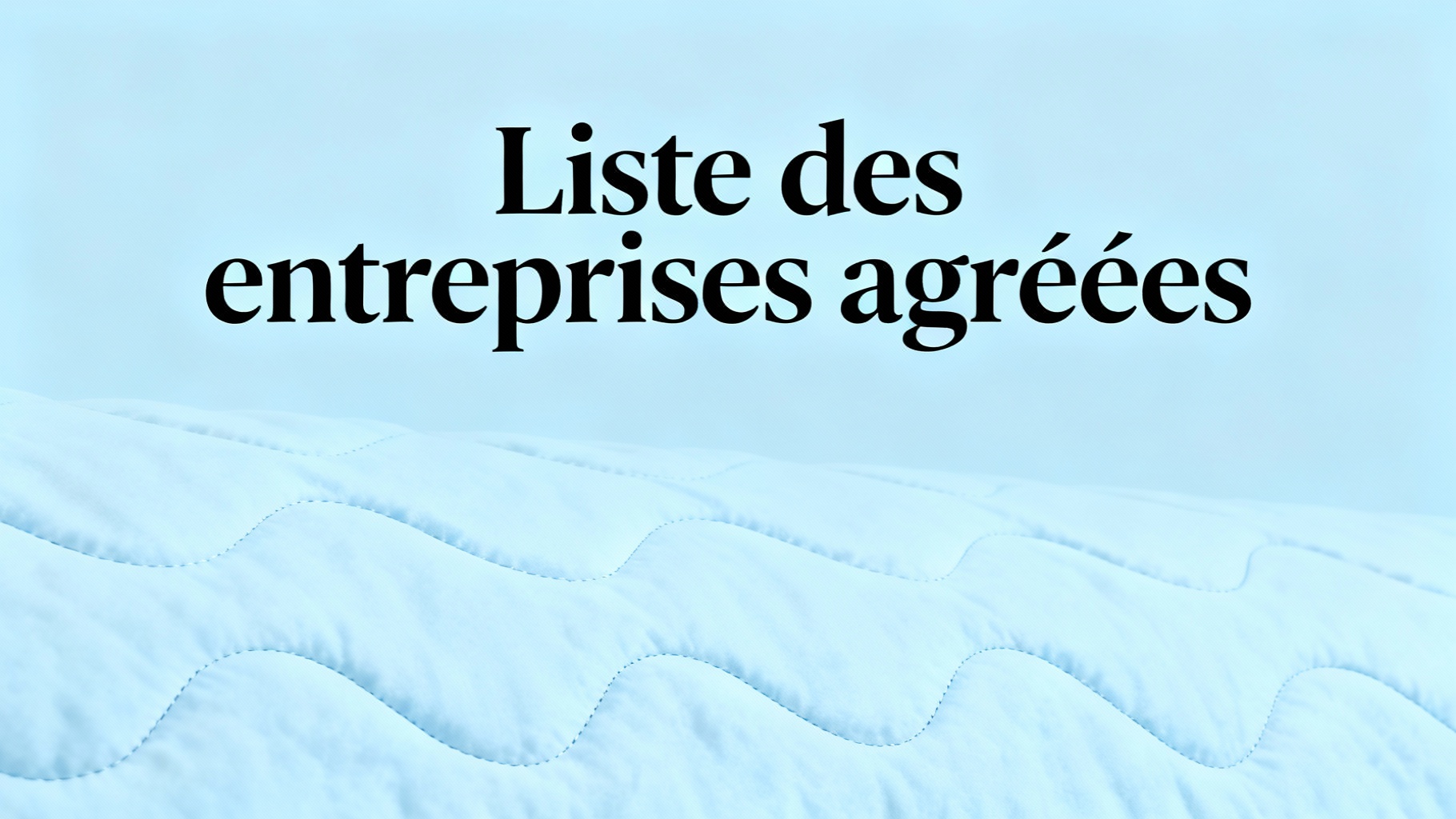 Liste des entreprises agréées pour l'isolation à 1 euro 1 Liste des entreprises agréées